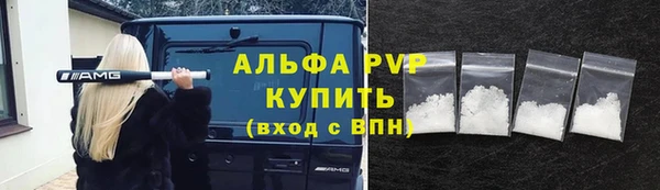трава Аркадак