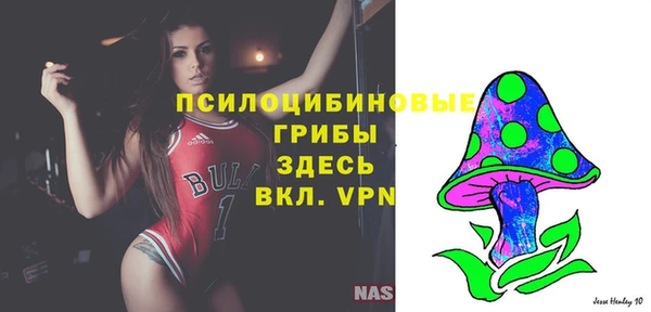 трава Аркадак