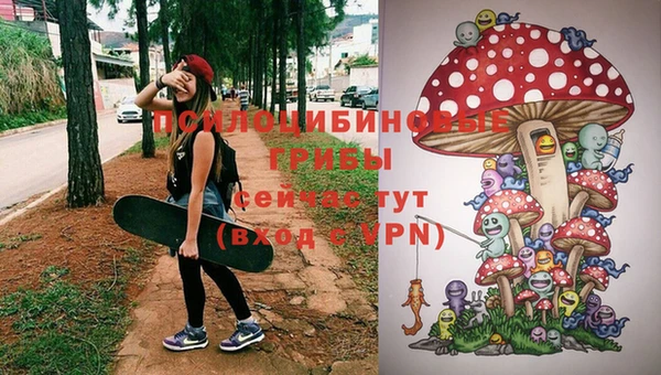 скорость Арсеньев